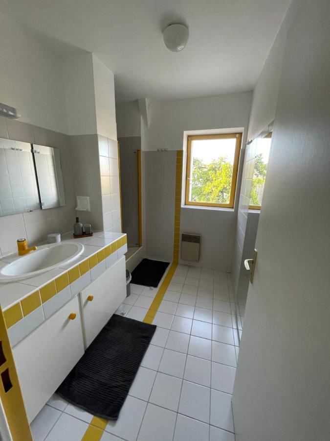 Grand Appartement Hypercentre Avec Terrasse Et Parking Πουατιέ Εξωτερικό φωτογραφία